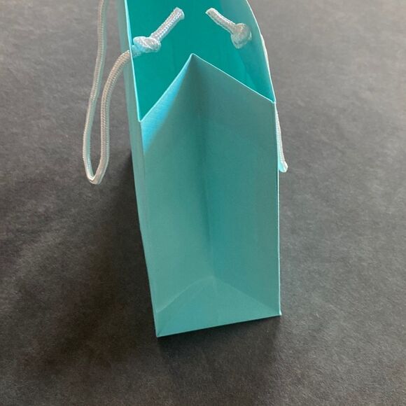 Tiffany & Co. Gift Bag - Picture 9 of 9
